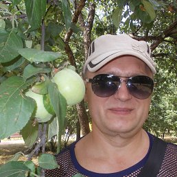 �������, �������, 53 ����