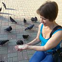 ���� ����, ��������� - ��������� 19 ����� 2016 � ������ ���� ����������