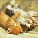 ���� ��������, �������, 64 ���� - ��������� 14 ������ 2016 � ������ ������ ��������