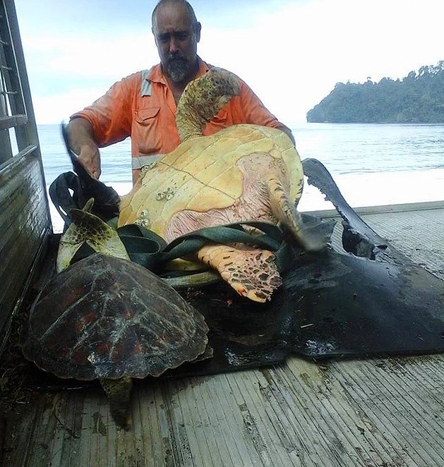 �������� ��������! ������� �������� �� ����������������� ����� ������� � ��������� �� ������� � ���� ...