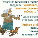 ���� �������, ���� - ��������� 30 ������� 2016 � ������ ���� ����������