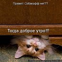 ���� ������, ������������ - ��������� 13 ������� 2016 � ������ ���� ����������