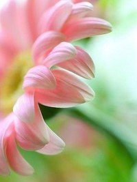 , ,  - 18  2016  03:10 - 2