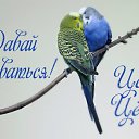 ���� �������, �������� - ��������� 21 ��� 2016 � ������ �������� ��������