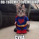 ���� �����, ���������, 45 ��� - ��������� 14 ����� 2016 � ������ ������ ��������