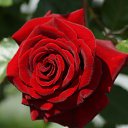 ���� �����, �����, 56 ��� - ��������� 26 ������� 2016 � ������ ������ ��������