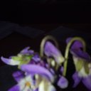  .........))) &....&....., --, 50  -  3  2016    