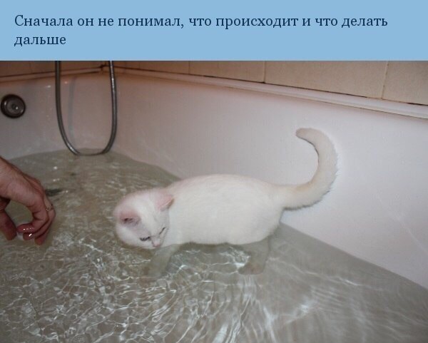    :-) - 21  2016  02:30