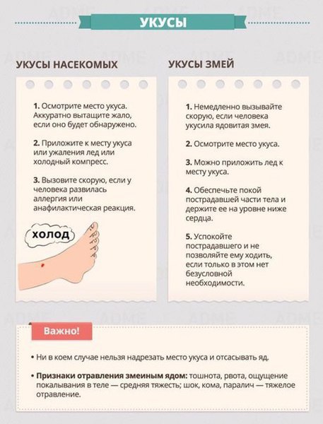 ������� �������� ������ ����������� ������. �������� ���� ����� �����, ����� ������ �����! ... - 4