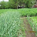 ������ � ������ 1,2�. �� ������� ���� ����������