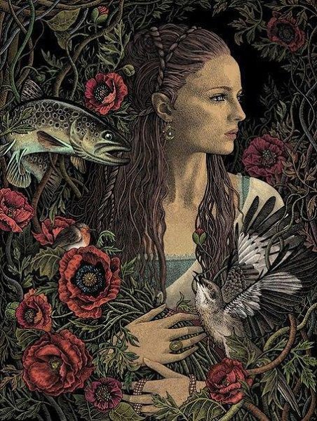 Художник-иллюстратор из Польши Магдалена Коженивска (Magdalena Korzeniewska) рисует интересные ... - 6