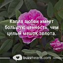 ���� ����, ������-������� - ��������� 30 ������� 2016 � ������ ������ ��������