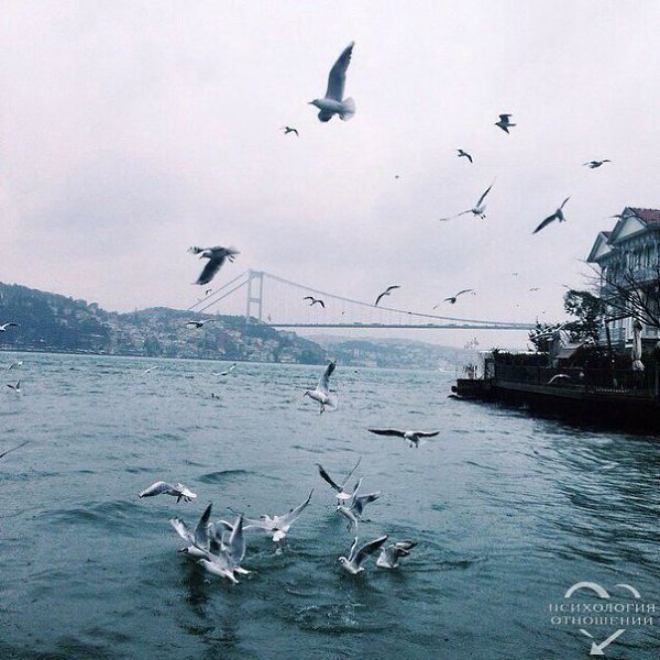 Это жизнь. Не всегда все взаимно. Никогда не будет так, как ты захочешь. Всё будет так, как должно ...