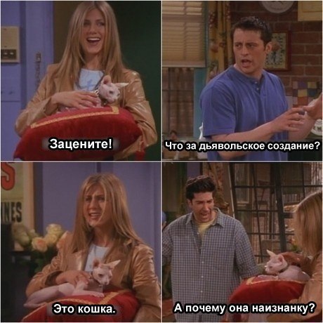 �������� ���� - 27 ������ 2016 � 06:08