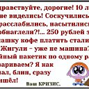 ���� ��������, ��������, 54 ���� - ��������� 16 ����� 2016 � ������ ������ ��������