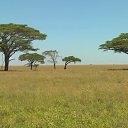 ���� �����, ���������� �����, 37 ��� - ��������� 1 ������ 2016 � ������ ���� ����������