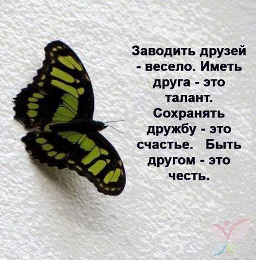 , , . - 21  2016  09:14