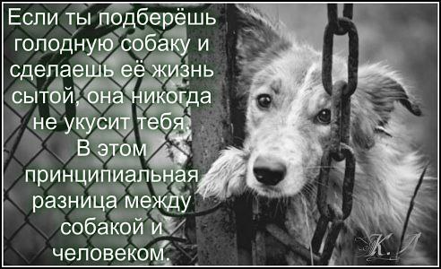  - 22  2016  19:13