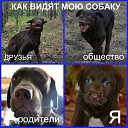  ,  , 40  -  16  2016    