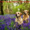 ���� Alekcandr, ������ - ��������� 20 ��� 2016 � ������ ���� ����������