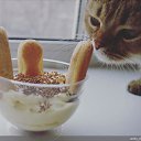 ���� ������, �����-��������� - ��������� 26 ������� 2016 � ������ ���� ����������