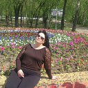 ���� �����, ������, 49 ��� - ��������� 24 ��� 2016 � ������ ���� ����������