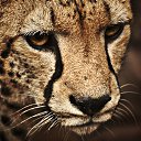 ���� A, ������ - ��������� 12 ���� 2016