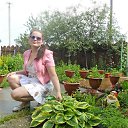  ,  -  21  2016       ,      ....