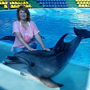 � ��������� ����������)