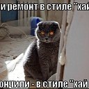 ���� ����, ���, 51 ��� - ��������� 1 ������ 2016 � ������ ������ ��������