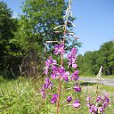 ���� ������, �������� - ��������� 13 ������ 2016 � ������ ���� ����������