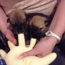 ���� �����, ��������, 58 ��� - ��������� 12 ���� 2016 � ������ ������