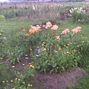 ���� ������, �����, 55 ��� - ��������� 6 ������� 2016 � ������ ���� ����������