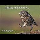 ���� ��������, ��������, 61 ��� - ��������� 27 ���� 2016 � ������ ���� ����������