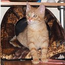 ���� �������, �����-���������, 55 ��� - ��������� 3 ������� 2016 � ������ ��������