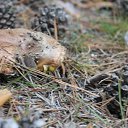 ���� ������, ���������, 42 ���� - ��������� 24 ����� 2016 � ������ ��������� ���