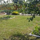 ���� �������, ������, 71 ��� - ��������� 27 ���� 2016 � ������ ���� ����������