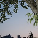 ���� ����, ����� - ��������� 9 �������� 2016 � ������ ������ ��������