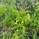 ���� Vassa, ���� - ��������� 18 ������ 2016 � ������ ������ ��������