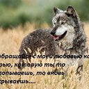 ���� ���, ����, 45 ��� - ��������� 29 ����� 2016 � ������ �����Ȼ