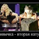���� ����, �������� - ��������� 12 ������ 2016 � ������ �����Ż