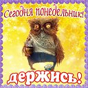���� ���������, ��������� - ��������� 28 ����� 2016 � ������ �������� ��������