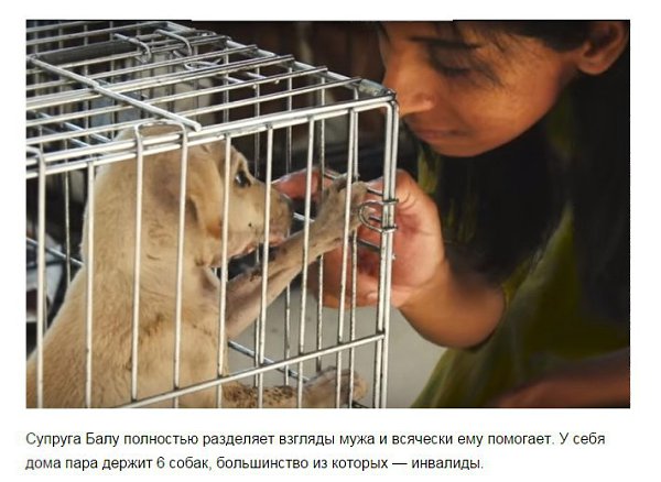  10   ,    .      , ... - 4