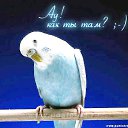 ���� �����, �����-���������, 59 ��� - ��������� 17 ��� 2016 � ������ ���� ����������