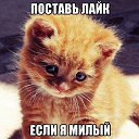 ���� ������, ������ - ��������� 7 �������� 2016 � ������ ������ ��������