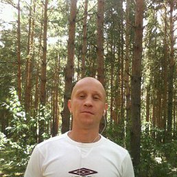 ���� �������-, ���������, 42 ���� - ��������� 4 ���� 2016