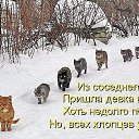 ���� ��������� (Super Star), �������� - ��������� 12 ����� 2016 � ������ ������ ��������