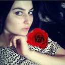 ���� ������, �������, 31 ��� - ��������� 20 ����� 2016 � ������ ���� ����������