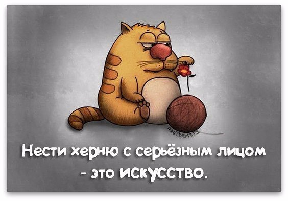 ***Victoria Viktorovna*** - 17  2016  02:14