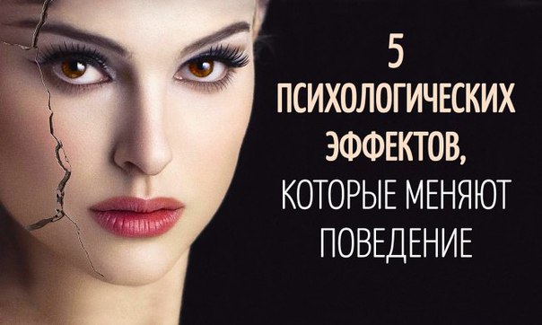 ***��������� | ���������� | ������������..***.5 ������ ��������������� ��������, ������� ������ ���� ...